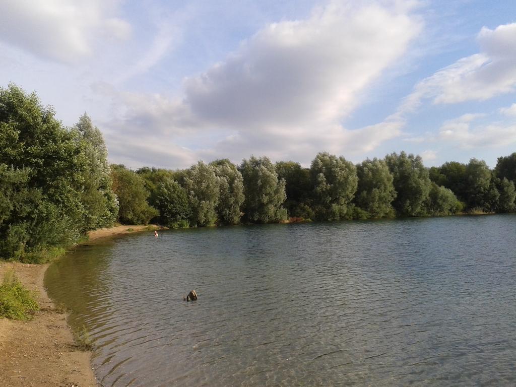 B&B Am See Koeln - Privatzimmer Oda fotoğraf