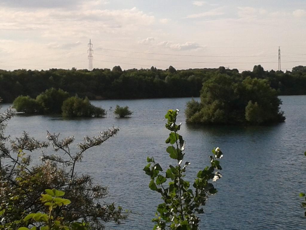 B&B Am See Koeln - Privatzimmer Oda fotoğraf