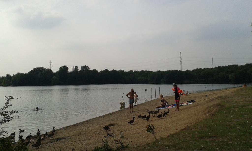 B&B Am See Koeln - Privatzimmer Dış mekan fotoğraf